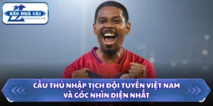 Cầu Thủ Nhập Tịch Đội Tuyển Việt Nam Và Góc Nhìn Toàn Diện 8 Cầu thủ nhập tịch đội tuyển Việt Nam