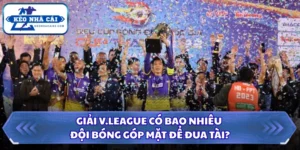 Giải V.League Có Bao Nhiêu Đội Bóng Góp Mặt Để Đua Tài? 16 Giải V.League có bao nhiêu đội